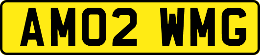 AM02WMG