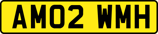 AM02WMH