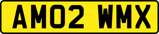 AM02WMX