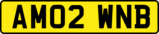 AM02WNB