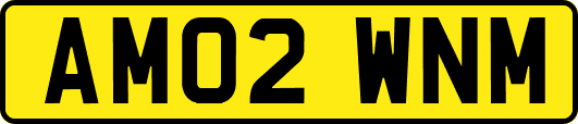 AM02WNM