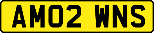 AM02WNS