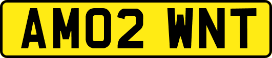 AM02WNT