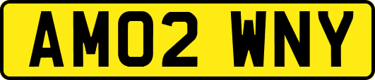 AM02WNY