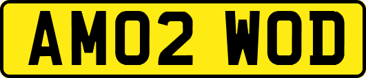 AM02WOD
