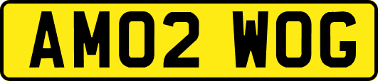 AM02WOG
