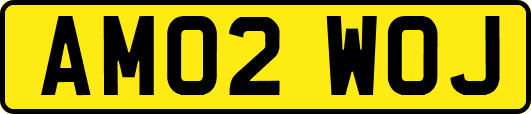 AM02WOJ