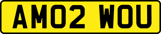 AM02WOU