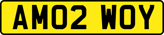 AM02WOY