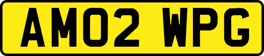 AM02WPG