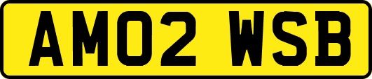 AM02WSB