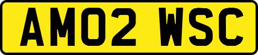 AM02WSC