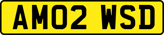 AM02WSD