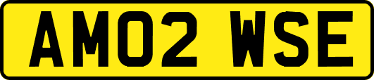 AM02WSE