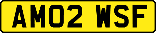 AM02WSF