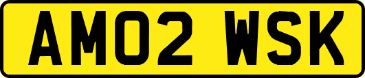 AM02WSK