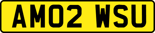 AM02WSU