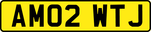 AM02WTJ