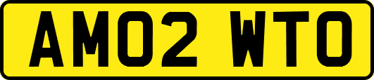 AM02WTO