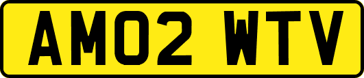 AM02WTV