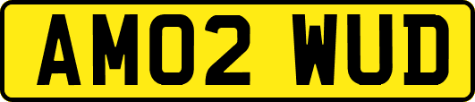 AM02WUD