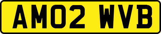 AM02WVB