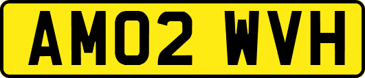 AM02WVH