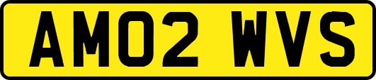 AM02WVS