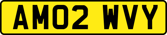 AM02WVY