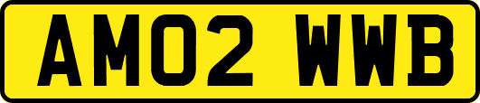 AM02WWB