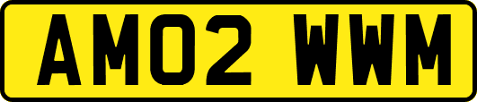 AM02WWM