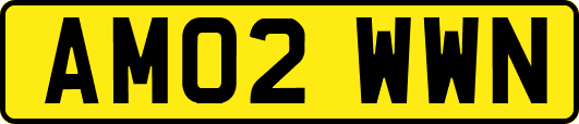 AM02WWN