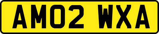 AM02WXA