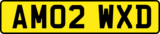 AM02WXD