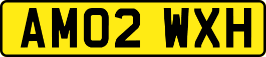 AM02WXH