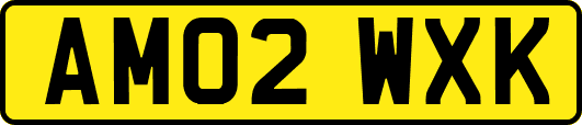 AM02WXK