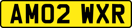 AM02WXR