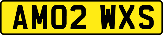 AM02WXS
