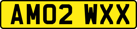 AM02WXX