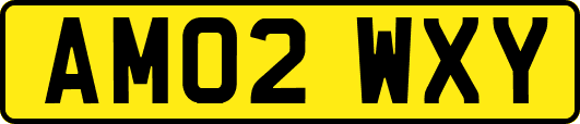 AM02WXY