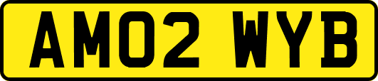 AM02WYB