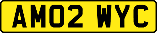 AM02WYC