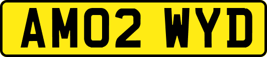 AM02WYD