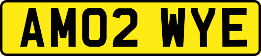 AM02WYE