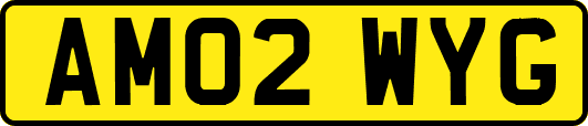 AM02WYG
