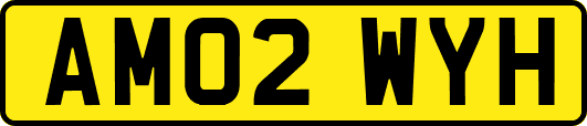 AM02WYH