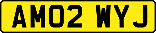 AM02WYJ