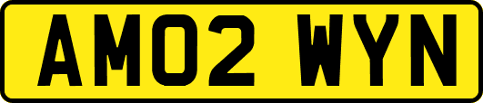 AM02WYN