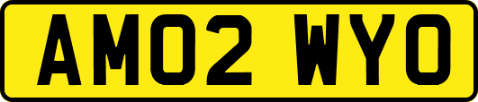 AM02WYO