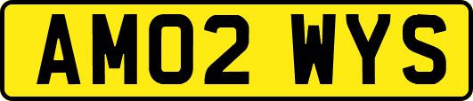 AM02WYS